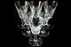 Baccarat Carcassonne Collectible France Crystal 7 Inch Wine Stemware Glass Set