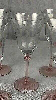 Central Glass Work Etched Morgan Fairy Tinkerbell Set Of 5 Wine Water Glass