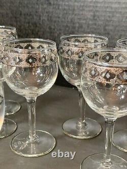 Culver Silver Valencia 12 5.5 Wine Glasses & 8.5 Decanter MCM Rare Barware Set