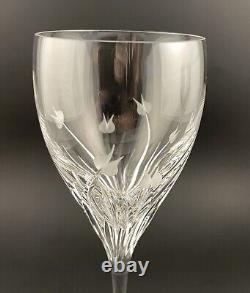 Da Vinci Pisa (8.5 in) Water glasses Goblet Wine Stemware Set Of 6