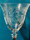 Rare Anthropologie Horta Etched Crystal Wine Glasses Set Of 2