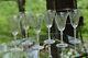 Vintage Etched Wine Glasses, Set of 6, Tall Etched Etched Stem Wine glasses