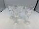 Waterford Crystal ASHLING White Wine Glasses Set of 4